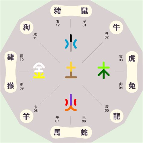 僖五行|哿的五行属性是什么 哿字的五行属性